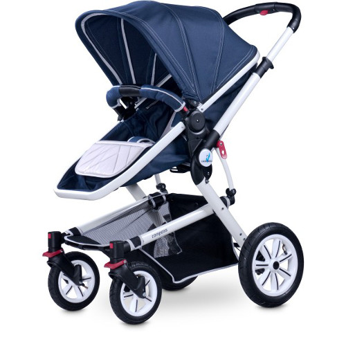 Caretero - Carucior 2 in 1 Compass Navy
